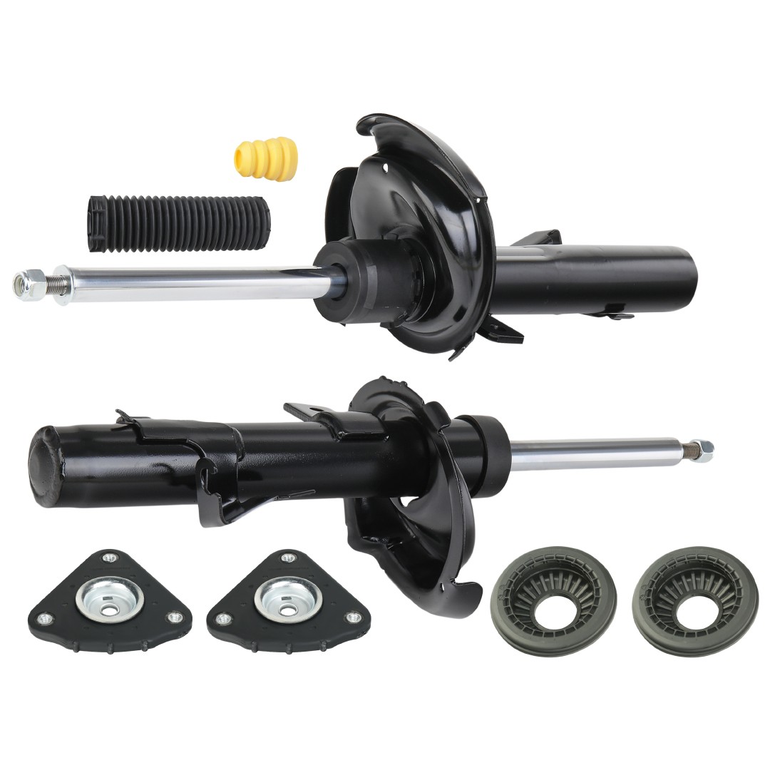 RIDEX Chassissæt, støddæmper 1185S0005 Chassissæt fjedre dæmpere RIDEX Fiat GRANDE PUNTO 1185S0005