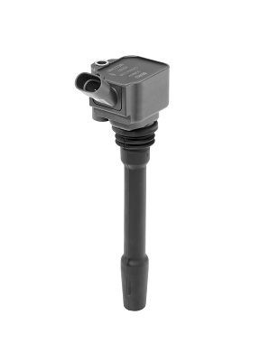 BERU Tändspole ZS587 ZS587 BERU tändkassett FIAT SEICENTO