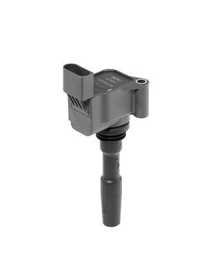 BERU Bobine ZSE223 BERU ZSE223 Bobine Audi A3 8VA goedkoop
