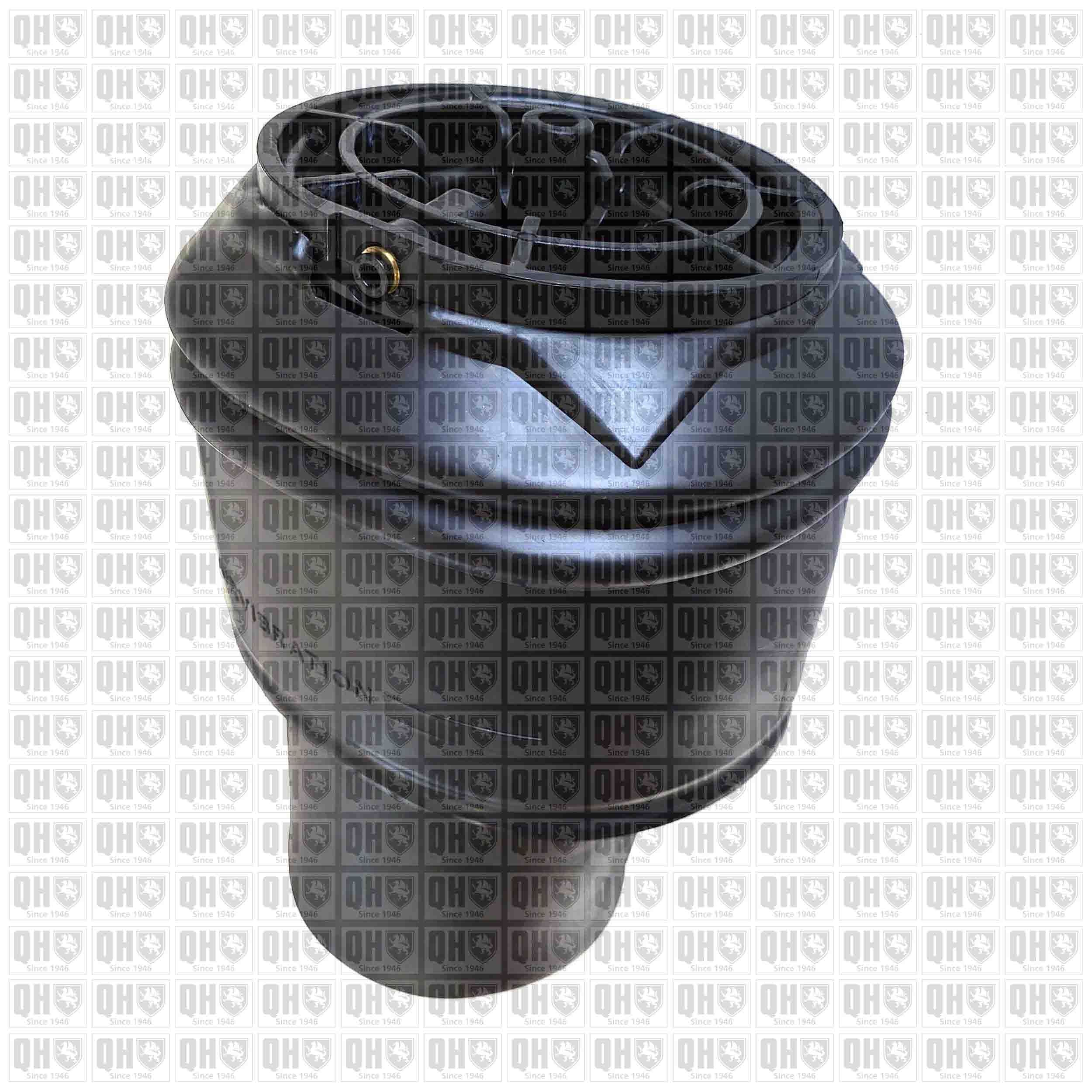 QUINTON HAZELL Air Spring, suspension EMR4838 QUINTON HAZELL EMR4838 CITROËN 2CV Saloon boot, air suspension replacement