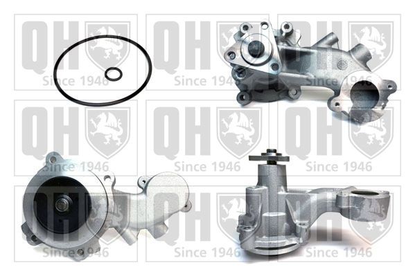 QUINTON HAZELL Vandpumpe QCP3948 QUINTON HAZELL QCP3948 FORD USA Escape II Vandpumpe til en rimelig pris