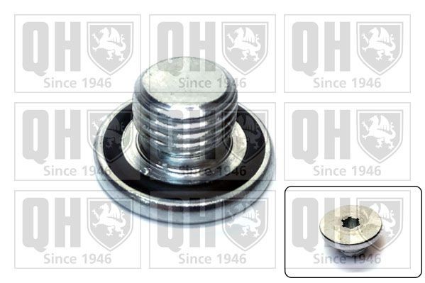 QUINTON HAZELL Afsluitschroef, oliepan QOC1014 Carterplug QUINTON HAZELL DUCATO QOC1014 goedkoop