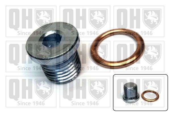 QUINTON HAZELL Afsluitschroef, oliepan QOC1017 QUINTON HAZELL QOC1017 Carterplug Passat 365 prijs