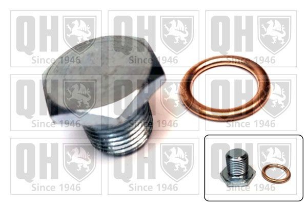 QUINTON HAZELL Βιδωτή τάπα, λεκάνη λαδιού QOC1019 QUINTON HAZELL QOC1019 Βίδα εκκένωσης κάρτερ SKODA Felicia I Combi (6U5) φθηνά