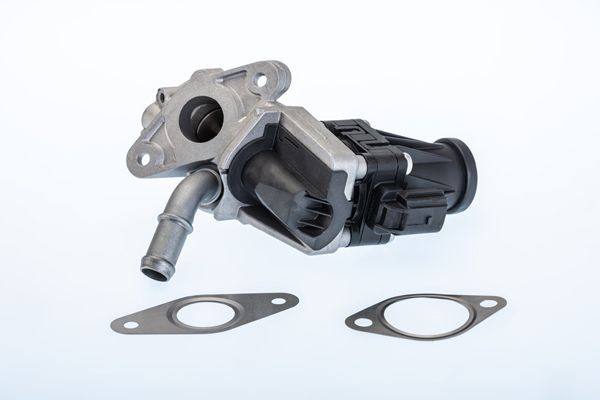 WAHLER Valvola EGR 710979R 710979R costo Valvola EGR WAHLER PEUGEOT 508