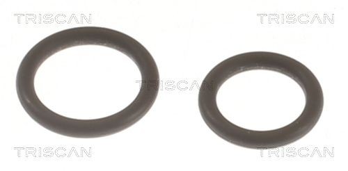 TRISCAN Packningssats, insprutningsmunstycke 596-1002 596-1002 TRISCAN reparationssats insprutningsmunstycke Seat LEON