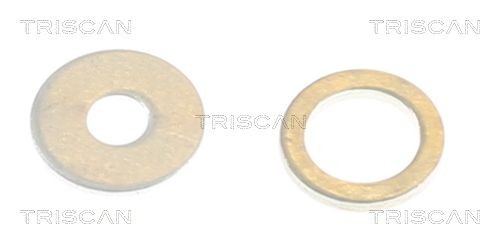 TRISCAN Packningssats, insprutningsmunstycke 596-1010 596-1010 TRISCAN spridartätning SEAT LEON