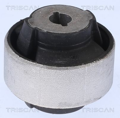 TRISCAN Feste, styrestag 8500 10887 8500 10887 Foring bærearm PEUGEOT 307 TRISCAN