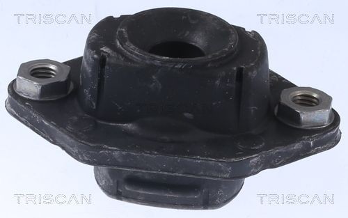 TRISCAN Veerpootlager 8500 11925 Veerpoot lager TRISCAN X3 8500 11925 goedkoop