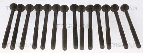 TRISCAN Topplocksbultsats 98-1014 98-1014 TRISCAN sträckbult BMW Z4