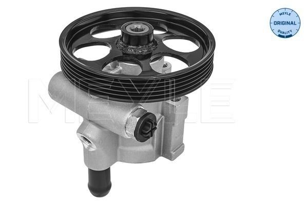 MEYLE Power steering pump 16-16 631 0002 MEYLE 16-16 631 0002 genuine Renault RAPID Kasten steering pump price