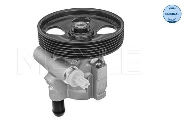 MEYLE Servo čerpadlo 16-16 631 0005 MEYLE 16-166310005 Servo čerpadlo Renault Grand Scenic 4 cena