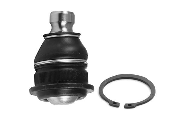 AISIN Ball Joint JBJRE-004 AISIN JBJRE-004 RENAULT Megane II Box Body / Hatchback (KM0/2_) ball joint replacement