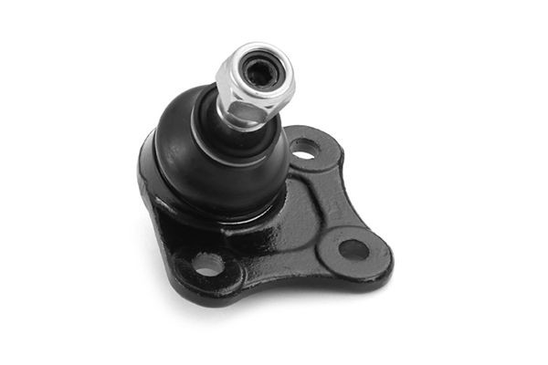 AISIN Testina braccio oscillante JBJVG-004L JBJVG-004L AISIN Testine braccio oscillante Volkswagen prezzo
