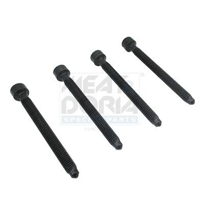 MEAT & DORIA Adjustment Screw, injector pump 98093 Ford ESCORT MEAT & DORIA high pressure fuel pump 98093