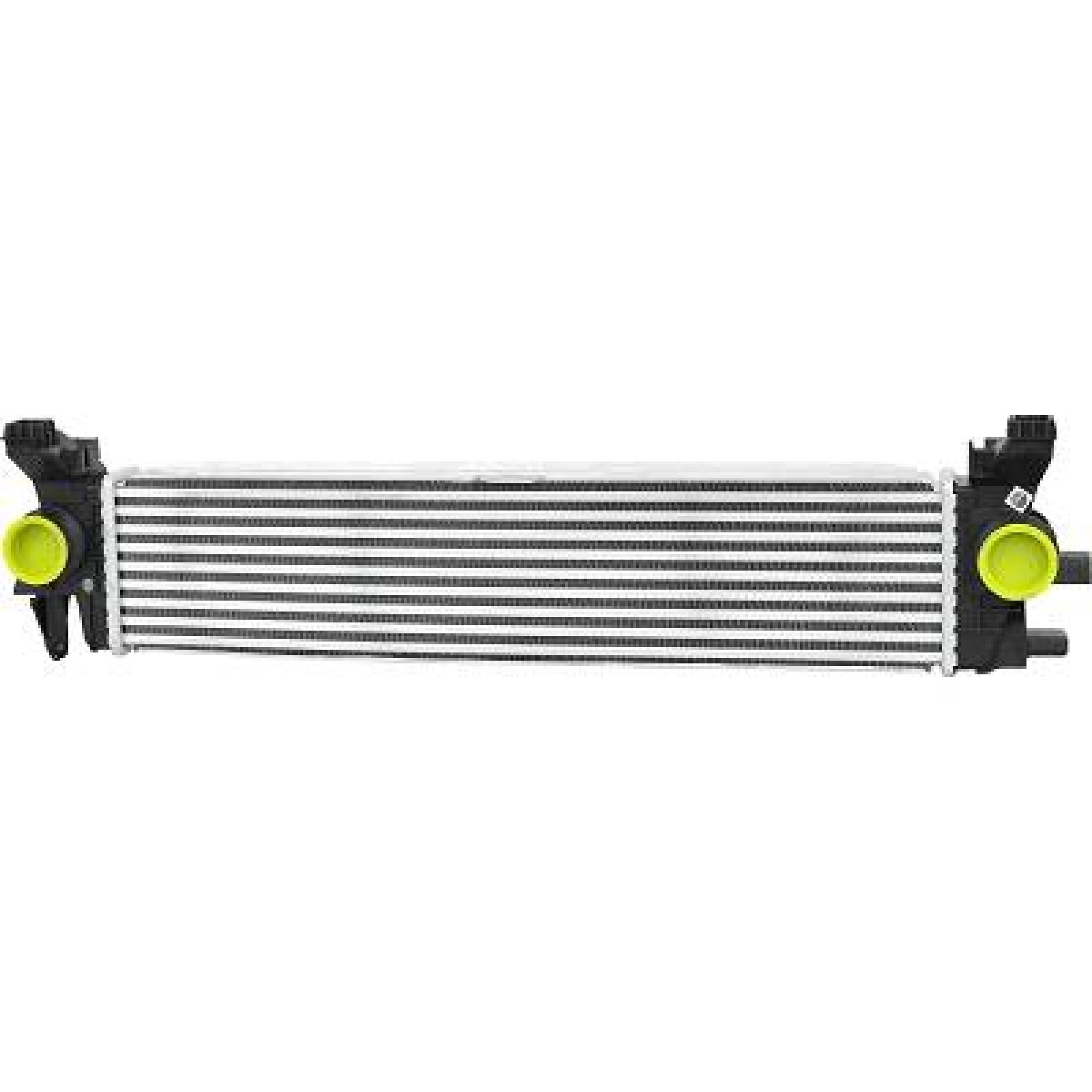 DIEDERICHS Intercooler DCA1163 DCA1163 Radiatore intercooler DIEDERICHS Land Rover