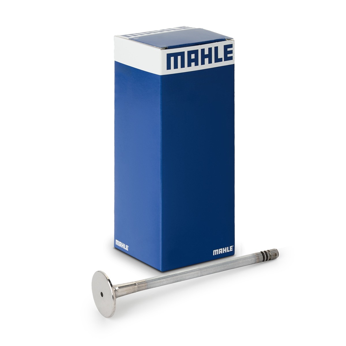 Válvula de drenagem MAHLE 021 VA 32021 000 MAHLE 021 VA 32021 000 Válvula de drenagem PIAGGIO PORTER 2006