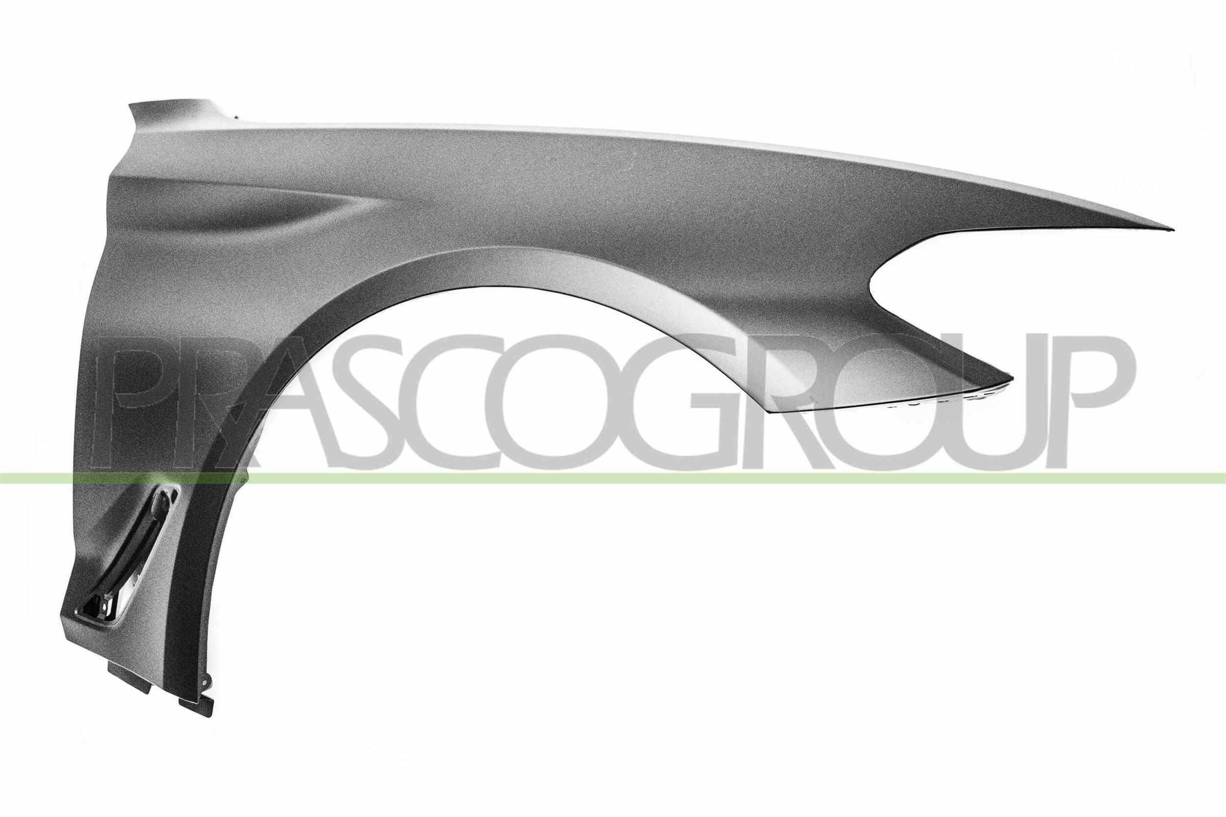 PRASCO Spatbord BM0523003 BM0523003 Spatbord BMW X6 PRASCO