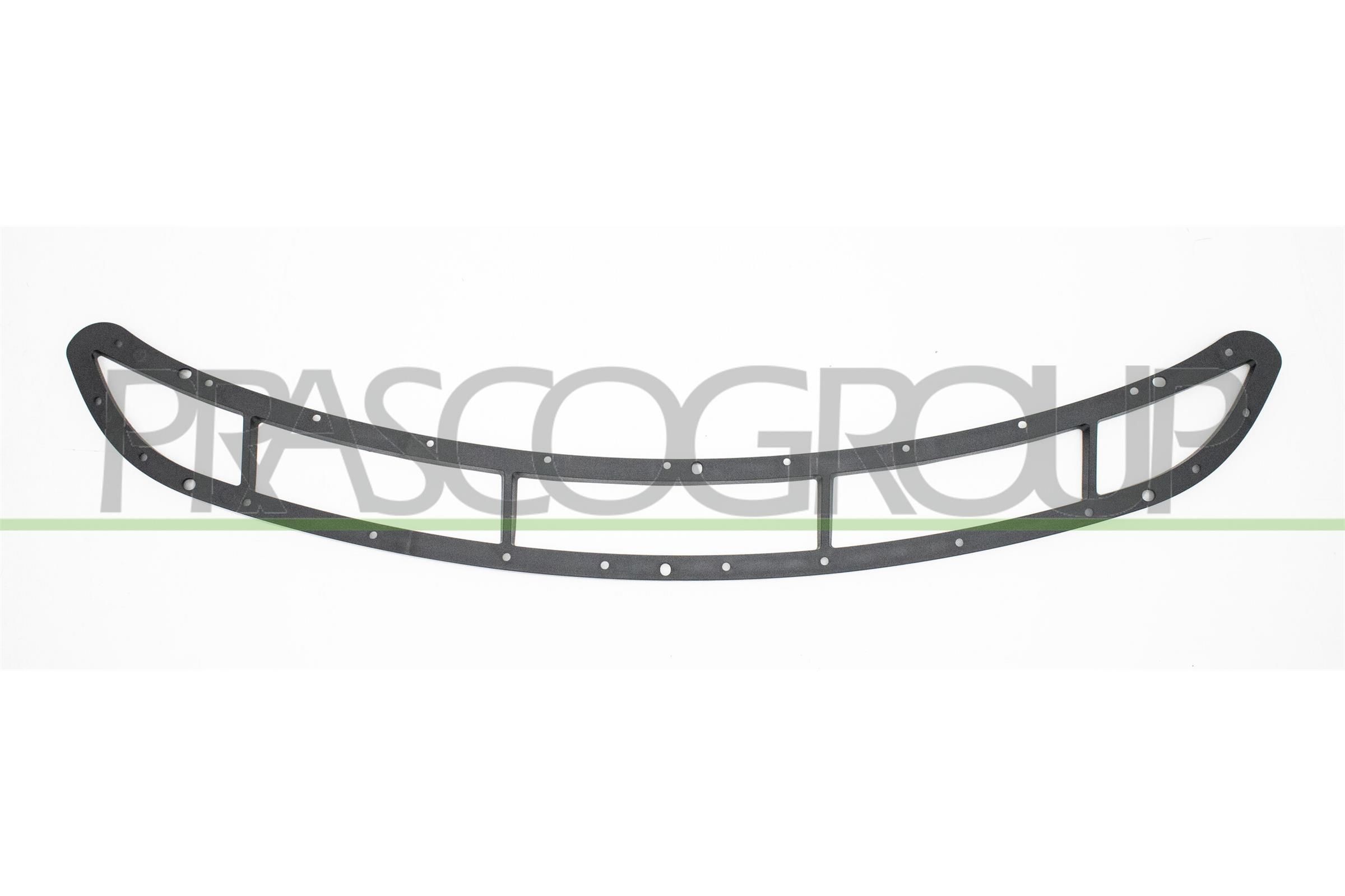 Telaio, Griglia radiatore PRASCO PR5062226 PRASCO PR5062226 Griglia PORSCHE BOXSTER 2005
