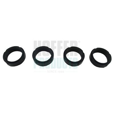 HOFFER Τσιμούχα, βάση μπεκ 80298006 80298006 HOFFER Σετ τσιμούχες μπεκ ψεκασμού Hyundai φθηνά