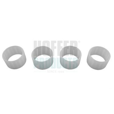 HOFFER Tætningsring, dyseholder 80298007 80298007 Pakning dyseholder HOFFER AUDI A4