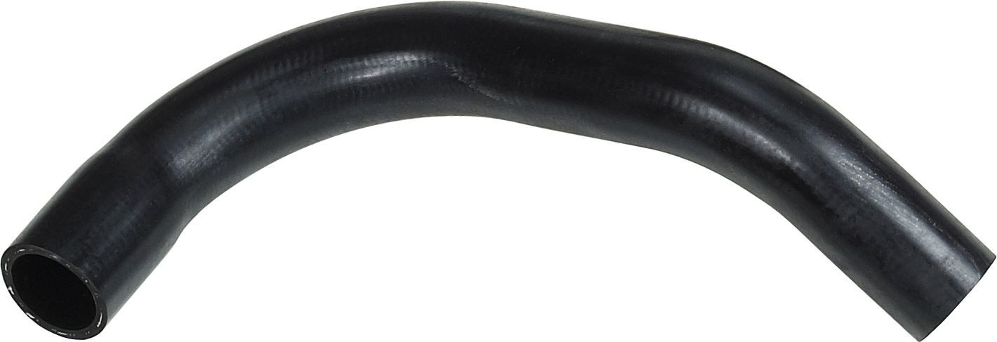 RAPRO Jäähdyttimen letku R11313 R11313 RAPRO Jäähdyttimen letku FIAT DUCATO