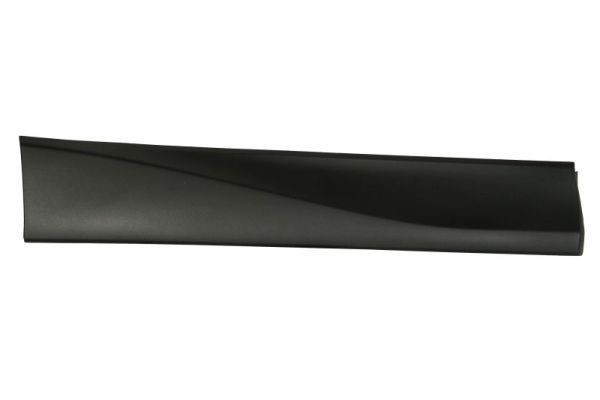 BLIC Pynte- / beskyttelsesliste, dør 5703-02-6738494P BLIC 5703-02-6738494P Leone III Stationcar Dørlister pris