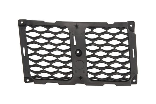 BLIC Radiator grill 6502-07-3207994P BLIC 6502-07-3207994P Voor-grill Jeep Wrangler TJ originele prijs