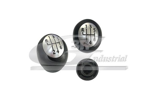 3RG Pommeau de vitesse 25613 3RG 25613 Levier de vitesse Renault Grand Modus prix