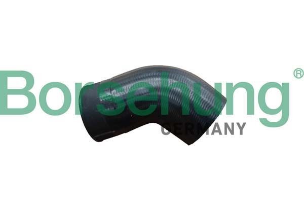 Borsehung Tubo flexível do ar de sobrealimentação B11973 Mangueira para o turbocompressor Borsehung BOXER B11973 baratos