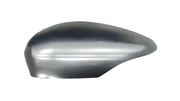 IPARLUX Tildekning, sidespeil 41310802 Tildekning sidespeil IPARLUX FOCUS 41310802 billige