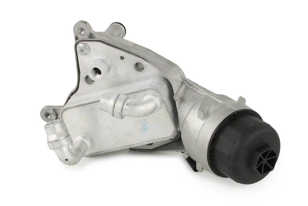 Radiatore olio motore FAST FT55406 FAST FT55406 Radiatore olio motore Fiat PUNTO 2009