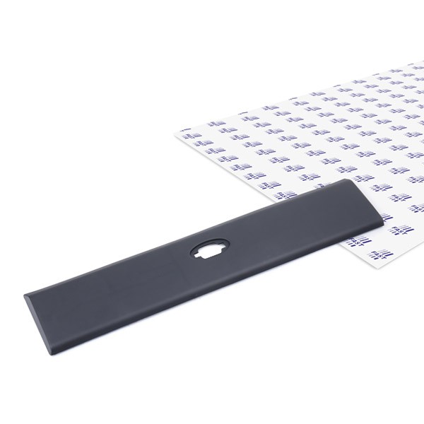 Trim / Protective Strip, sidewall FAST FT90895 FAST FT90895 SsangYoung MUSSO 2016 Door molding price