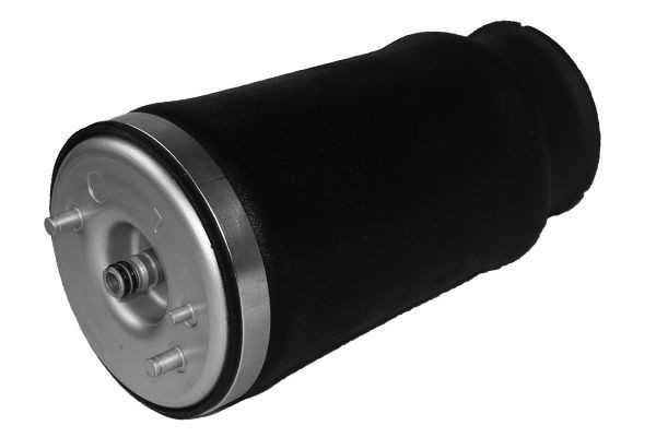 DACO Germany Vzduchové vankúše PA1510L PA1510L DACO Germany Mech pneumatického prużenia Mercedes-Benz lacné