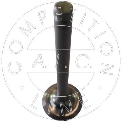 AIC Väljalaskeventiil 51200 Väljalaskeklapp AIC OPEL 51200