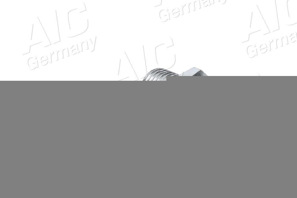 Afsluitschroef, oliepan AIC 56285 AIC 56285: Olie aftapplug Fiat IDEA 2003
