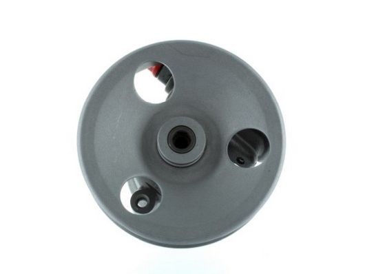 SPIDAN Servopumpe 54958 54958 Servopumpe SPIDAN CHEVROLET S10