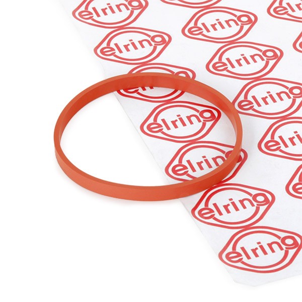 Guarnizione, Alloggiam. collettore aspirazione ELRING 725.200 ELRING 725.200 costo Guarnizione collettore aspirazione Volkswagen POLO 2025