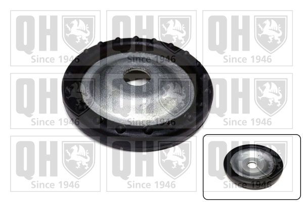 QUINTON HAZELL Atsperes atbalstplāksne EMR4835 QUINTON HAZELL EMR4835 orģinālās Atsperes atbalstplāksne Opel Omega B cena