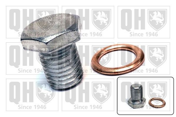 QUINTON HAZELL Βιδωτή τάπα, λεκάνη λαδιού QOC1038 QUINTON HAZELL QOC1038 Βίδα εκκένωσης κάρτερ BMW F25 γνήσια τιμες
