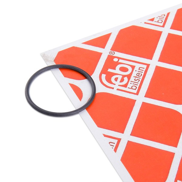 FEBI BILSTEIN Guarnizione, Pompa carburante 172666 172666 costo Guarnizione, pompa carburante Volkswagen PASSAT FEBI BILSTEIN