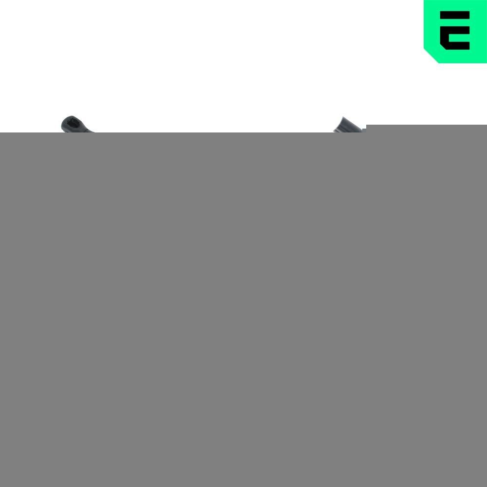 Gasveer achterklep OPTIMAL AG-50962 OPTIMAL AG-50962 Achterklep veren CITROËN DS3 2009