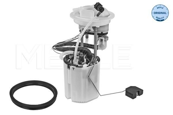MEYLE Pompe à essence 100 919 0111 Unité d'injection de carburant MEYLE EXPERT 100 919 0111 pas cher