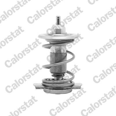 Kühlwasserthermostat CALORSTAT by Vernet TH9780.85 CALORSTAT by Vernet TH9780.85: Thermostat Lada SAMARA 2001