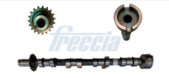 FRECCIA Vačkový hriadeľ CM05-2361 Sada vačkového hriadeľa FRECCIA Citroën ZX CM05-2361