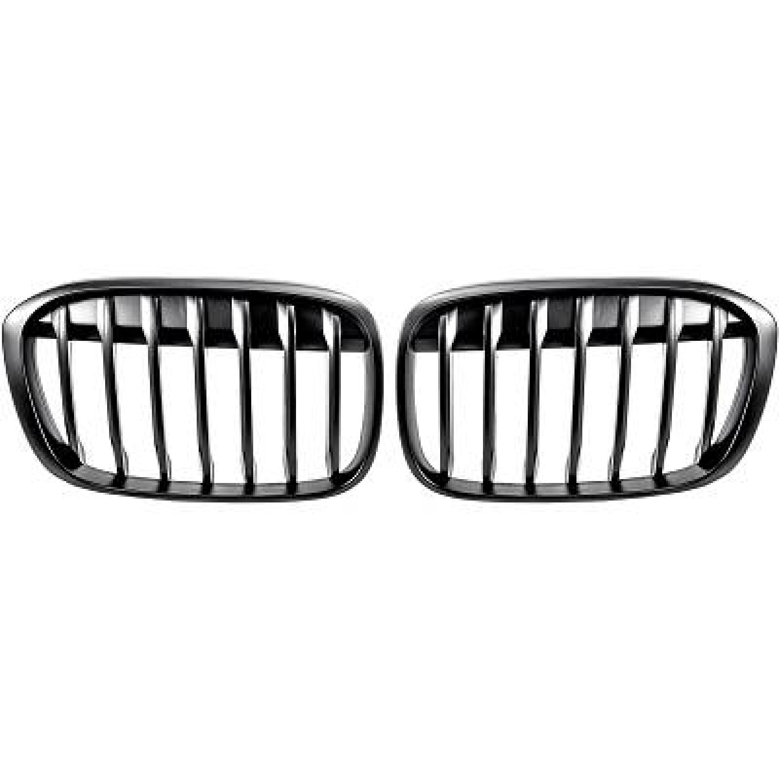 DIEDERICHS Radiator grill 1266240 DIEDERICHS 1266240 Radiator grill SSANGYONG RODIUS kosten