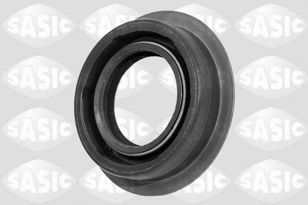 SASIC Anello tenuta, Differenziale 1950013 SASIC 1950013 Anello tenuta, differenziale Peugeot 407 Coupe originale prezzo