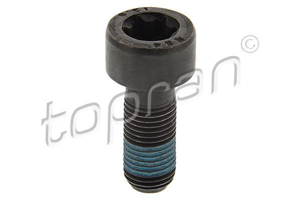 TOPRAN Svinghjulsskrue 702 162 Svinghjulsskrue TOPRAN 9-5 702 162 billig