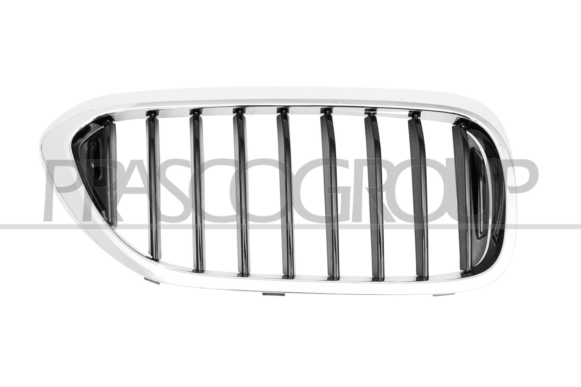 PRASCO Grelha de radiador BM0522023 PRASCO BM0522023 Grelha de radiador BMW 5 Sedan (G30, F90) 530 d Mild-Hybrid xDrive 286 cv 2025