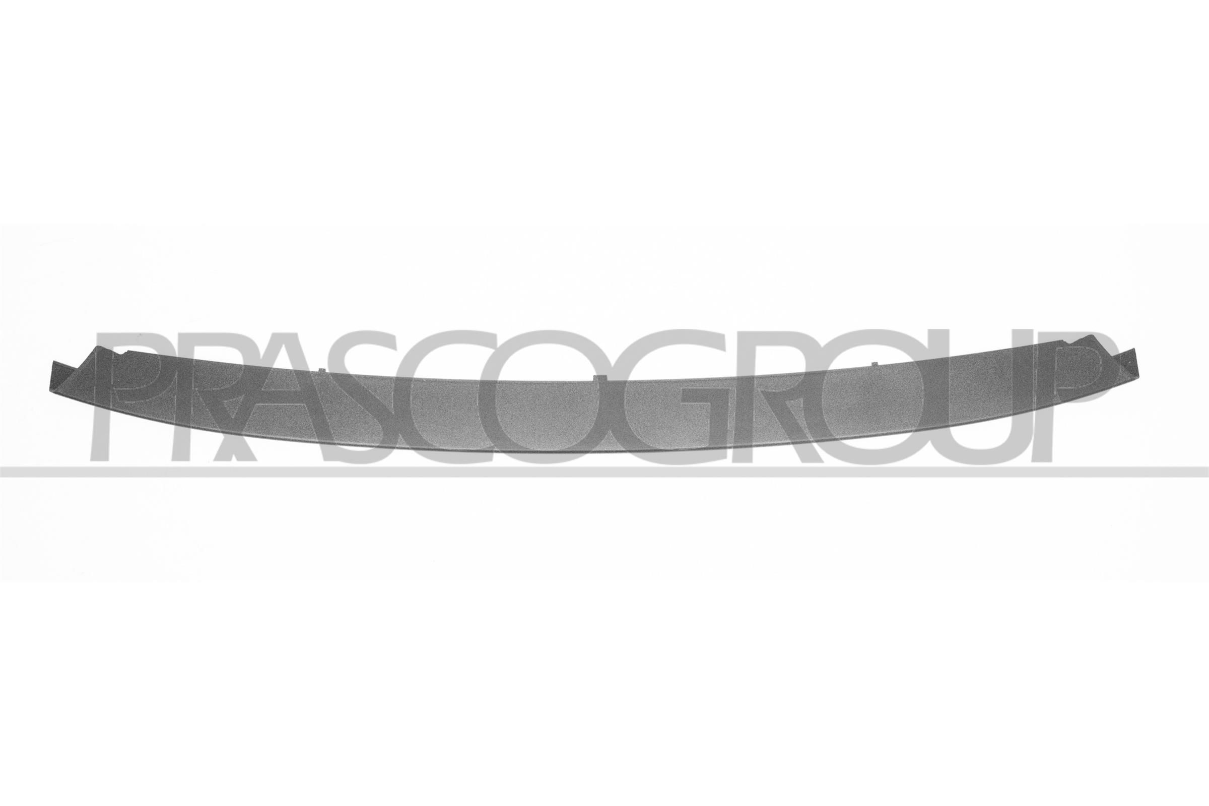 PRASCO Spoiler BM4001801 BM4001801 PRASCO Esistange spoiler BMW odav